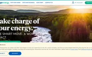 IGS Energy website