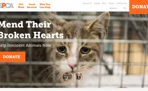 American Society For The Prevention Of Cruelty To Animals [ASPCA] website