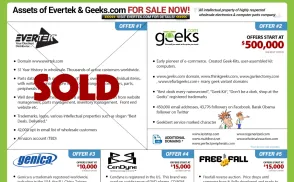 Geeks.com Store website