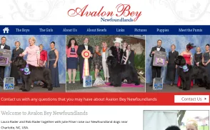 Avalon Bey Newfoundlands website