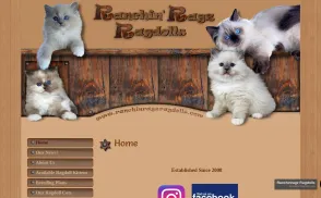 Ranchin Ragz Ragdolls website
