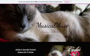 Musical Muse Cattery website