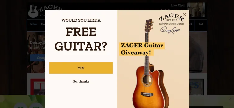 Screenshot Zager Guitars