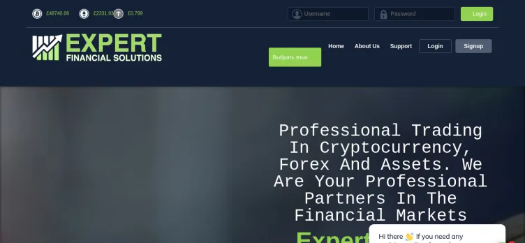 Screenshot Expert-financial-solutions
