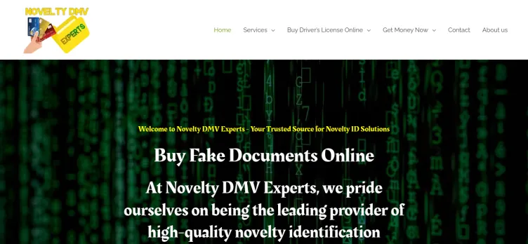 Screenshot Novelty Dmv Experts