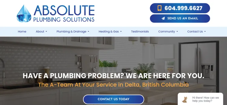 Screenshot Absolute Plumbing Solutions