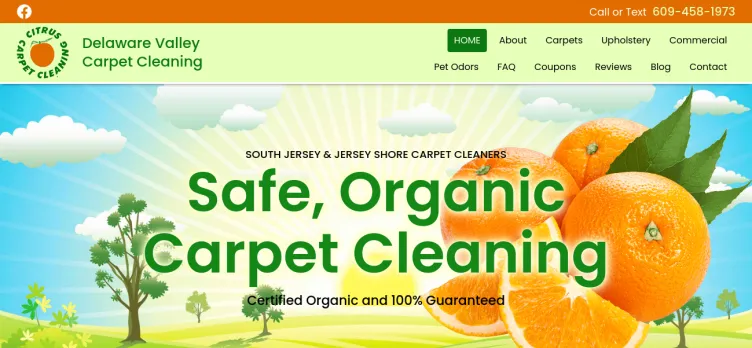 Screenshot Delaware Valley Carpet Cleaning
