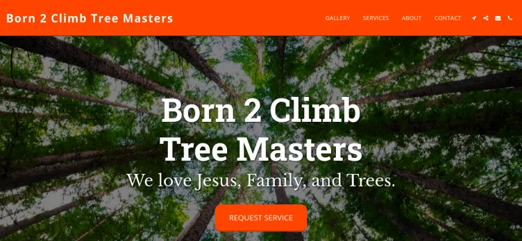 Screenshot Born 2 Climb Tree Masters