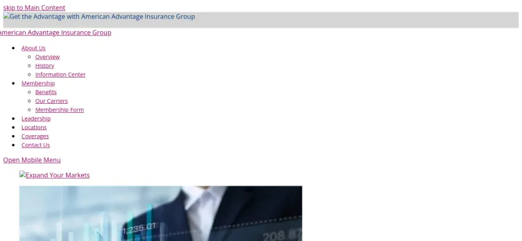 Screenshot American Advantage Insurance Group