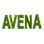 Avena Originals Customer Service Phone, Email, Contacts