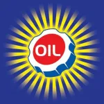 Pro Oil Change company logo