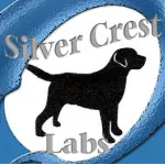 Silver Crest Labs