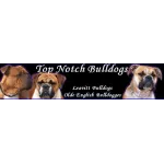 Top Notch Bulldogs Customer Service Phone, Email, Contacts