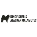 Kingfisher's Alaskan Malamutes