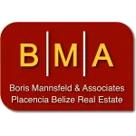 Boris Mannsfeld & Associates company logo