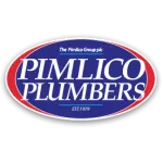 Pimlico Plumbers company reviews