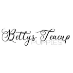Betty's Teacup Yorkies