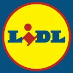 Lidl Digital International company reviews
