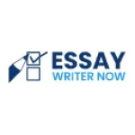 Essay Writer Now