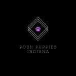 Posh Puppies Indiana