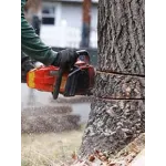 Brush Bandit Tree Service