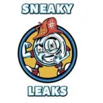Sneaky Leaks Foundation Repair & Water Proofing Customer Service Phone, Email, Contacts