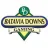 Batavia Downs Gaming reviews, listed as William Hill