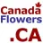 Canada Flowers - Flowers.ca Inc. reviews, listed as LivingSocial