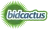 BidCactus  reviews, listed as Amazing Vouchers