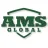 AMS Global reviews, listed as Tel2name.com