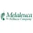 Melaleuca reviews, listed as The Body Shop