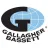 Gallagher Bassett Services Reviews