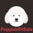 PuppiesR4Sale Reviews