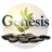 Genesis Ibogaine Center reviews, listed as Palm Partners