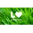 LawnLove reviews, listed as ExperiGreen Lawn Care