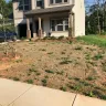 True Homes - yard/sod/dead grass/awful appearance