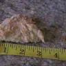 KFC - the size of the chicken tenders
