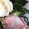 Prestige Flowers - flower delivery