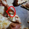 Domino's Pizza - foreign object found in pizza-larva