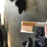 Pall Mall Cigarettes - defective cigarettes