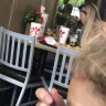 Chick-fil-A - dogs allowed in restaurant