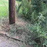 Georgia Power - Landscape damage at utility pole