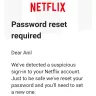 Netflix - unauthorized transaction