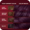 Sassoon - vs hair dye