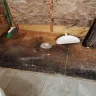 David Weekley Homes - Poor construction - second master bathroom, kitchen area wash basin / sink