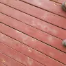 Cabot Stain - Deck correct