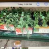 Roses Discount Store - Customer service and display of flowers, herbs and vegetables