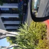Irvine Company - Parking lot Crossroads ..vision blocked by plants