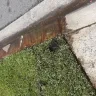 PrivateWriting - Damage to my sprinklers