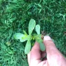 Scotts.com - Turf builder sun and shade grass seed, turf builder lawn food, turf builder weed and feed
